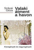 Valaki átment a havon